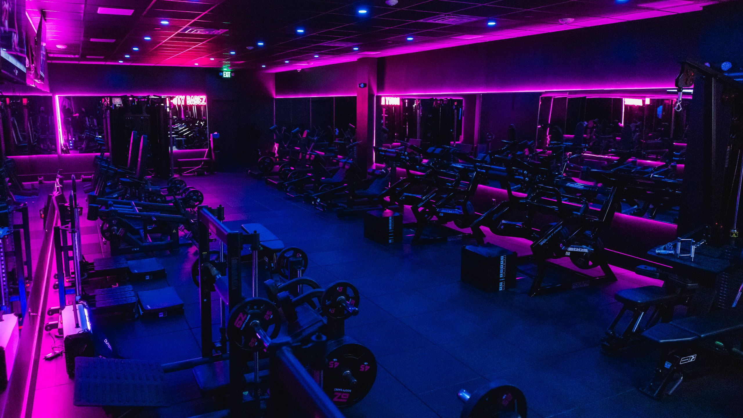 The Babez training floor under magenta and blue light